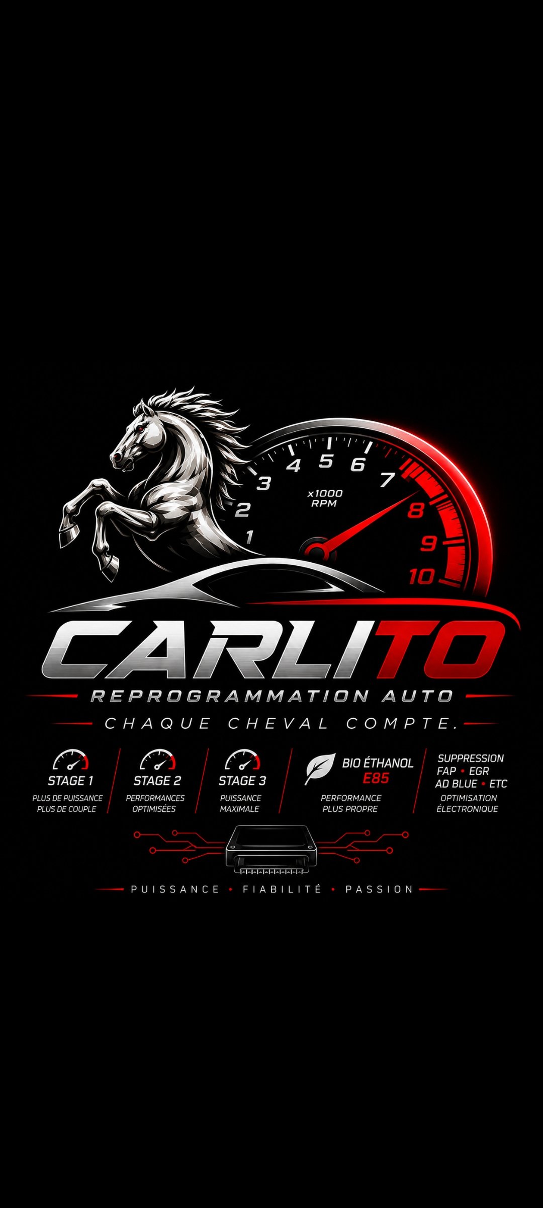Carlito Performance 